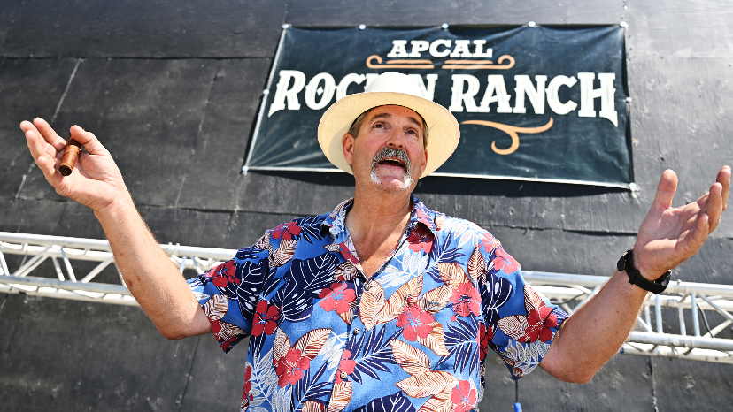 What's happening at ApCal? See the transformed outdoors music venue in ...