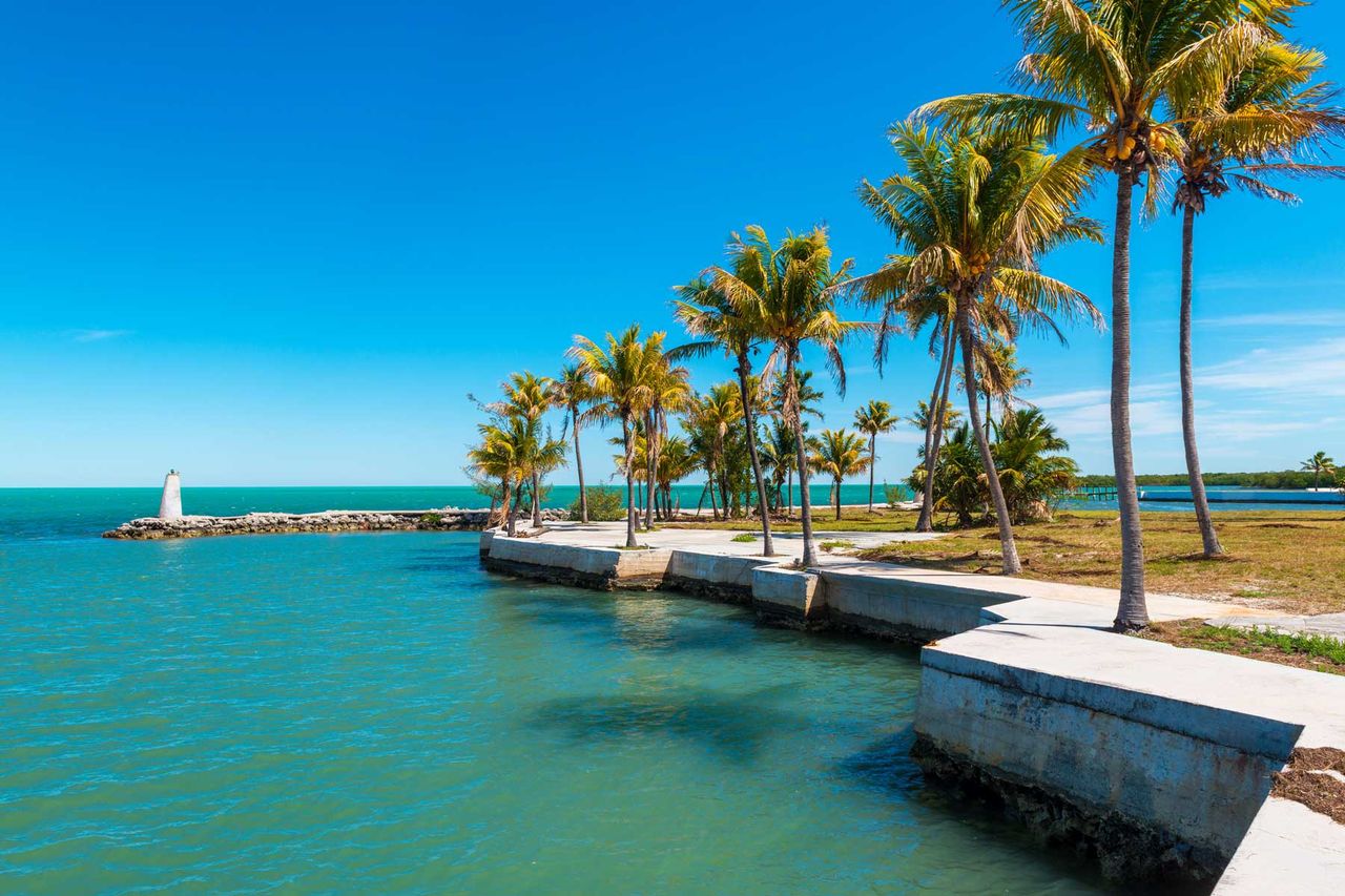 Small Bay in Marathon Florida Keys with blue water and skies and palm trees.