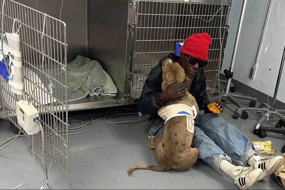 Devoted Dog Dad Sleeps Outside Vet Clinic To Get Help For His Injured Pup