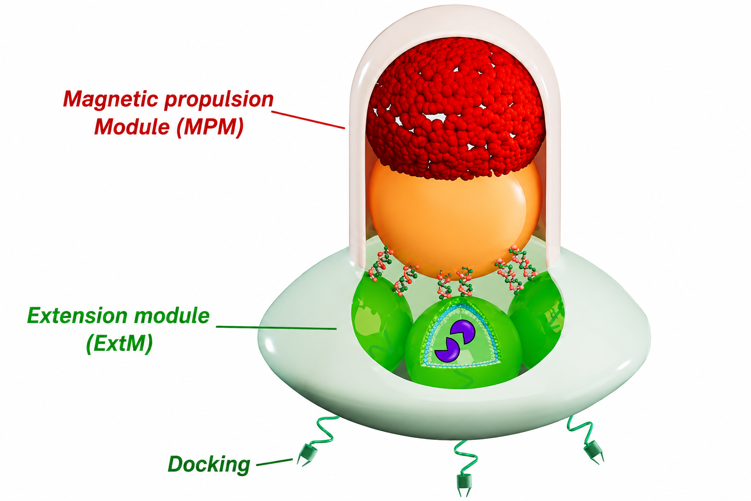 New modular nanorobots can move, target cells, and deliver drugs, offering a new path for precision medicine and industry. (CREDIT: Advanced Functional Materials)
