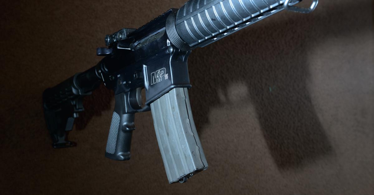 Third Circuit strikes down New Jersey's assault weapons ban, large ...