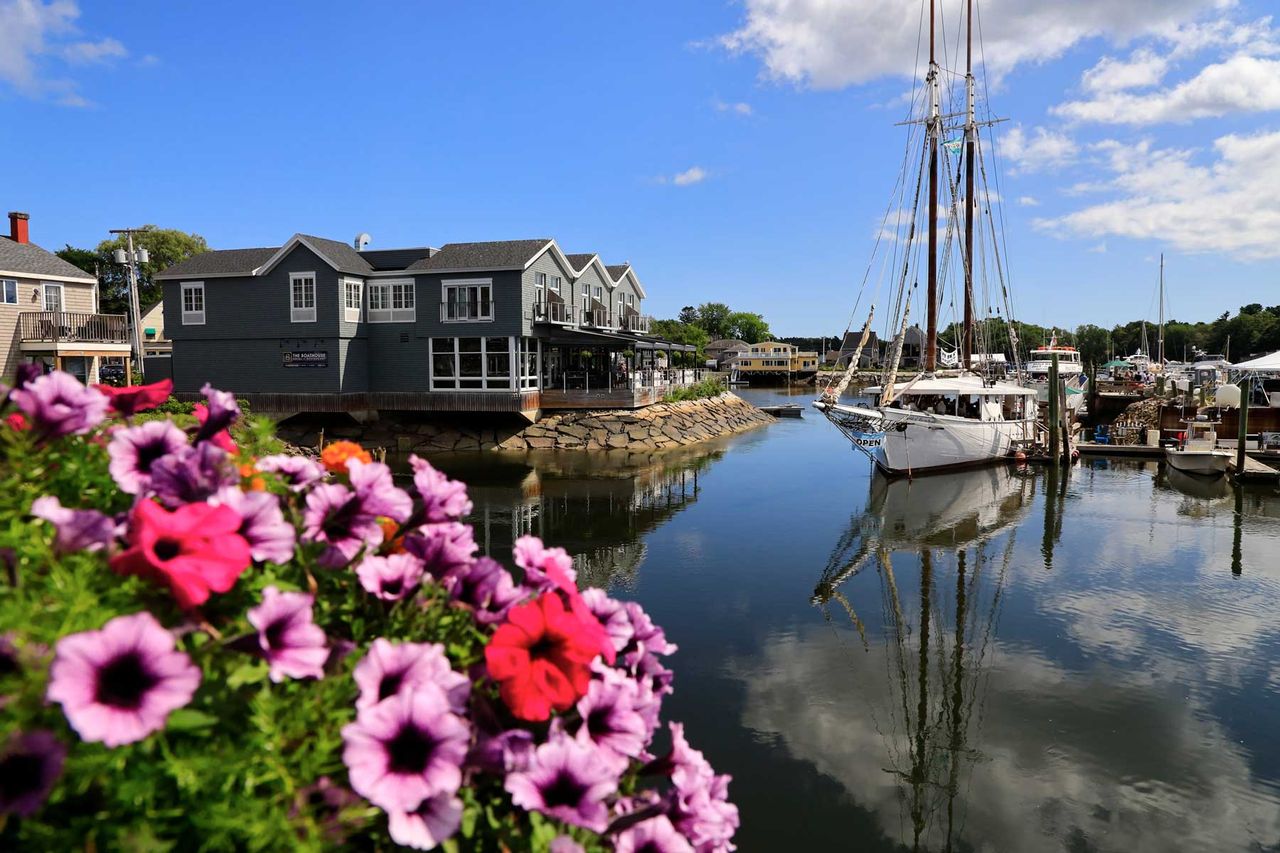 A sailboat docking in the marina of Kennebunk River with flowers in foreground