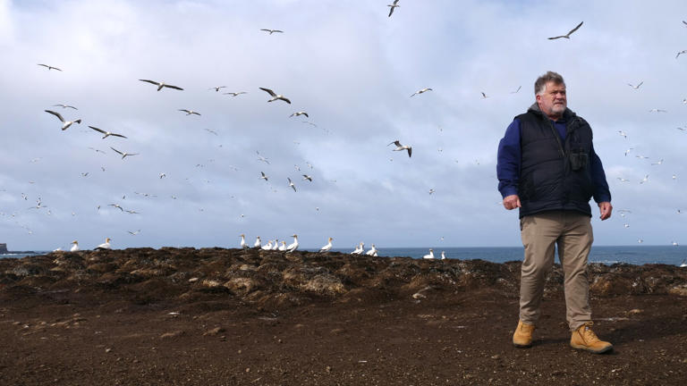 Victoria on high alert for signs of deadly H5N1 bird flu