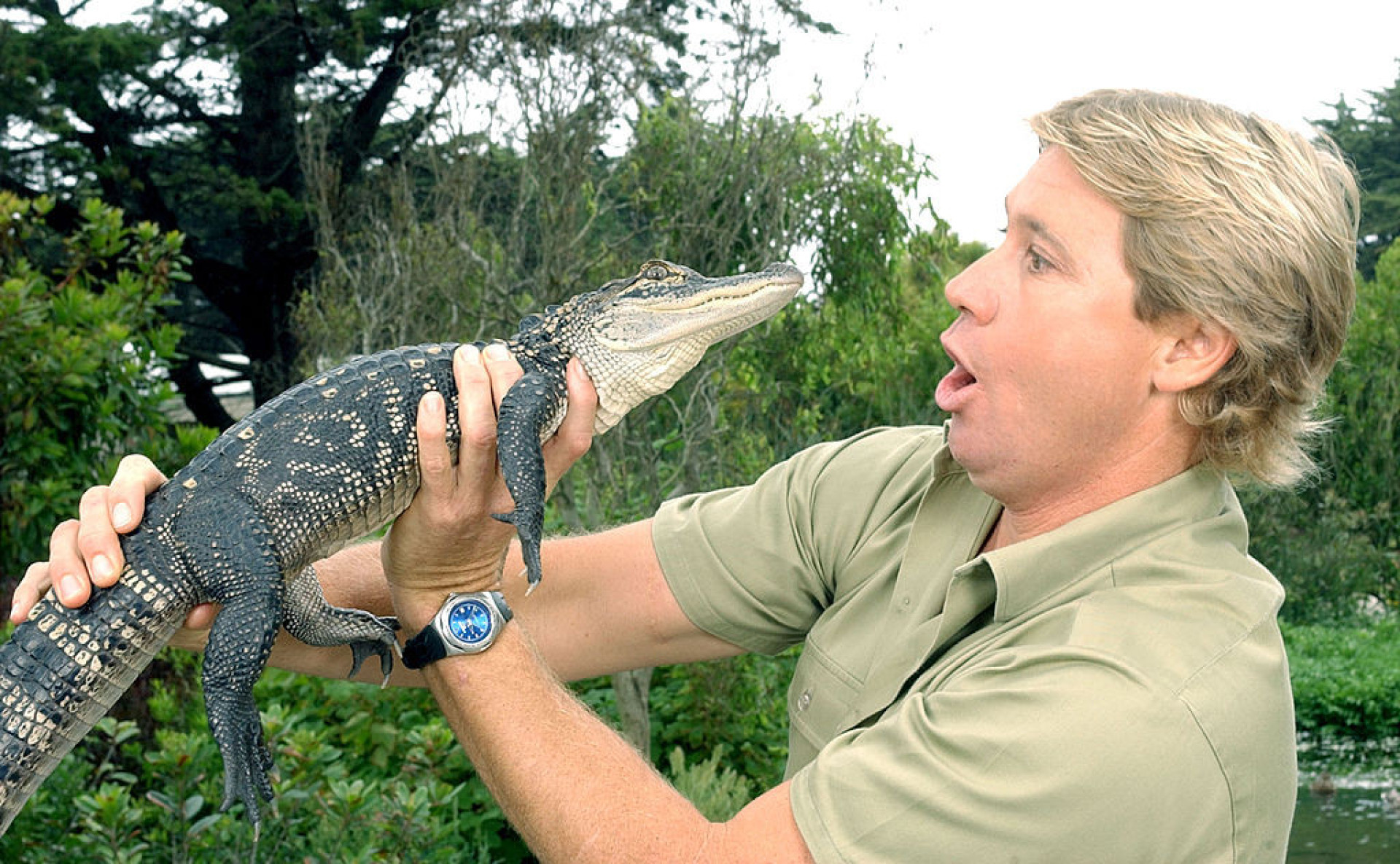 La triste morte di Steve Irwin: star televisiva e icona della ...