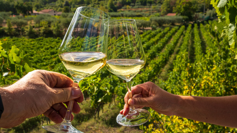 11 best chardonnay bottles under $15