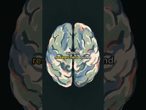 Brain folds show symmetrical patterns in autistic boys