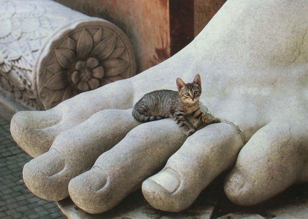 a cat lounging on the foot of a sculpture