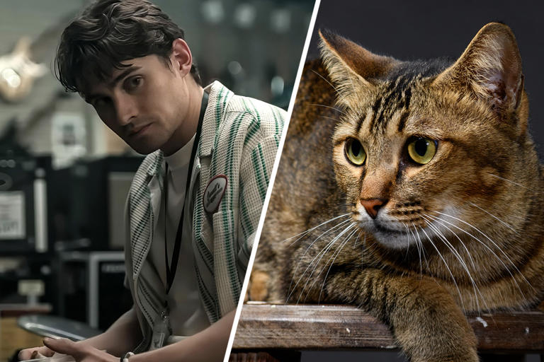 Now that ‘Obsession’ is on Peacock, can we admit the cat death makes no ...