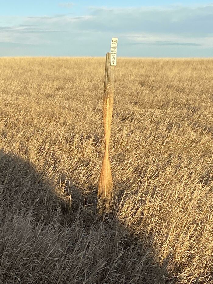 49 Cool And Interesting Photos That Show How Time Affects Things