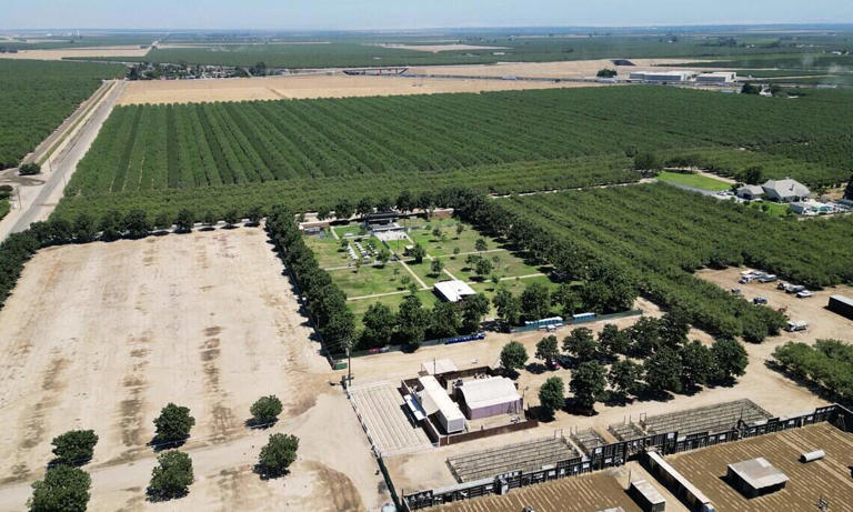 What's happening at ApCal? See the transformed outdoors music venue in ...