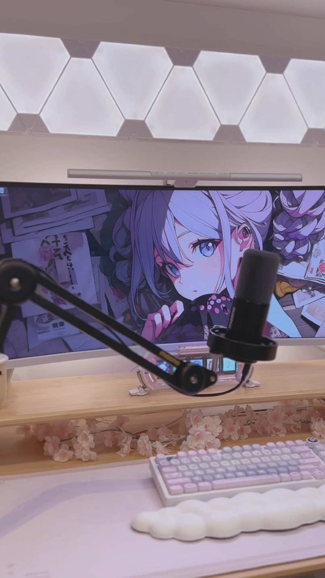 Maono PD300X microphone setup and sound features