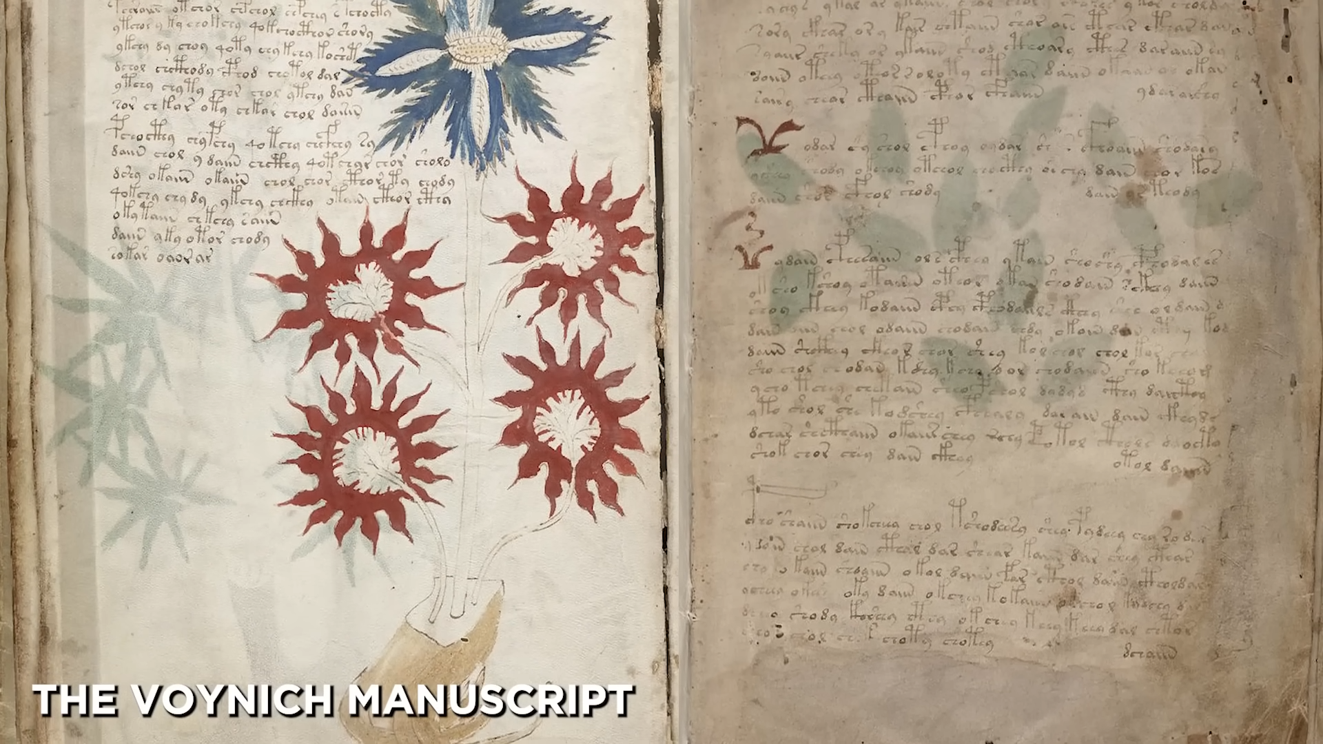 Why these ancient manuscripts terrified scientists