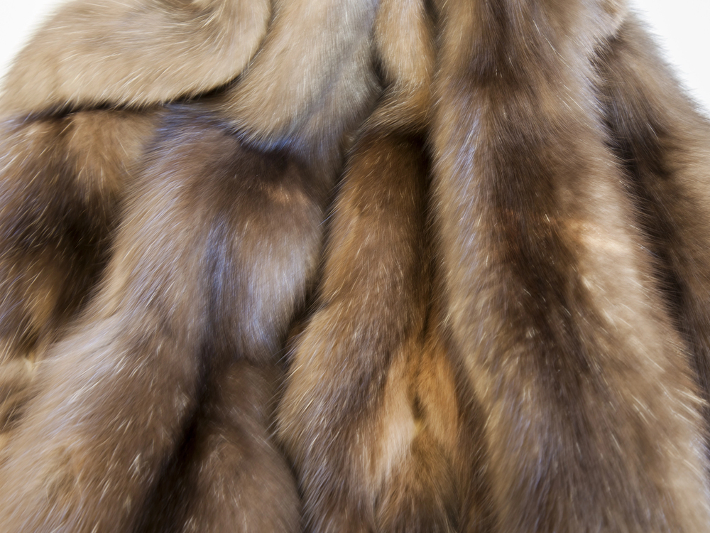 Fur
