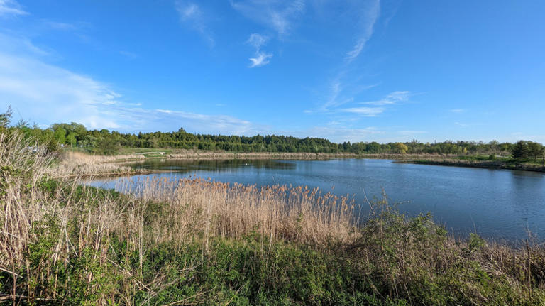 An hour from Toronto is a charming Ontario town with outdoor fun, shops ...