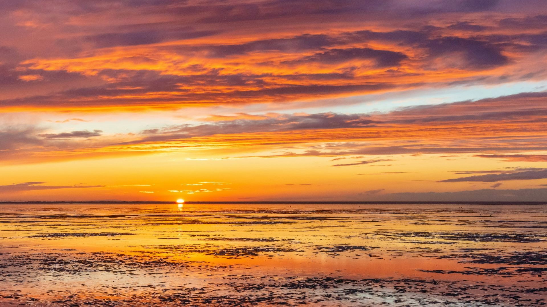 The coast between Kings Lynn and Hunstanton in Norfolk