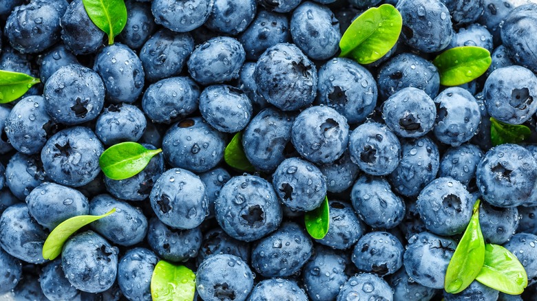 10 mistakes everyone makes with blueberries