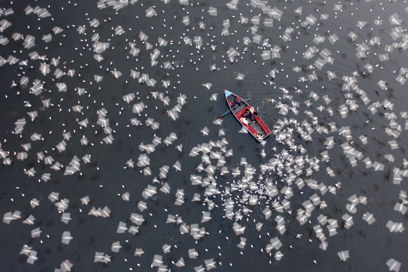 a small rowboat sits in water among hundreds of birds