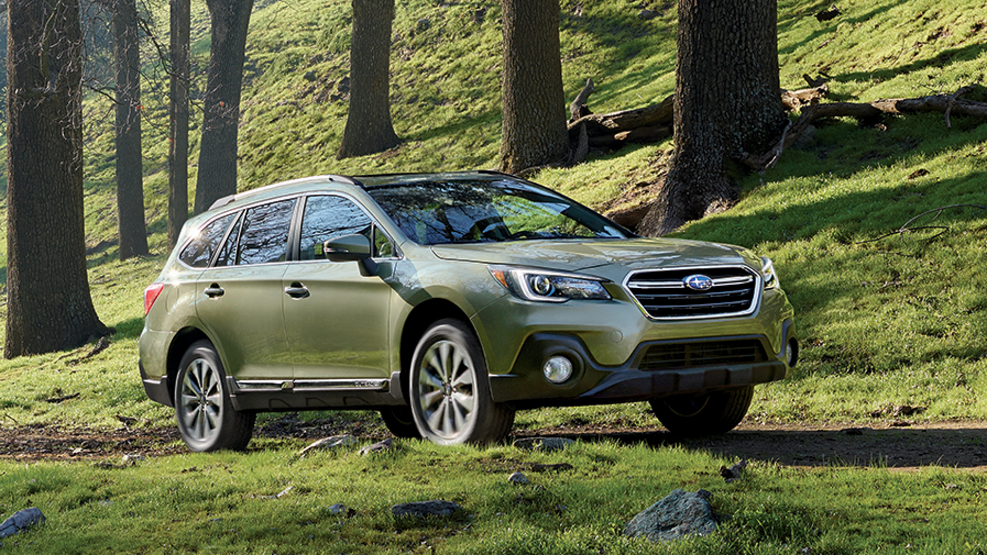 Discover a green 2019 Subaru Outback parked on a grassy forest path surrounded by tall trees in a lush outdoor setting.