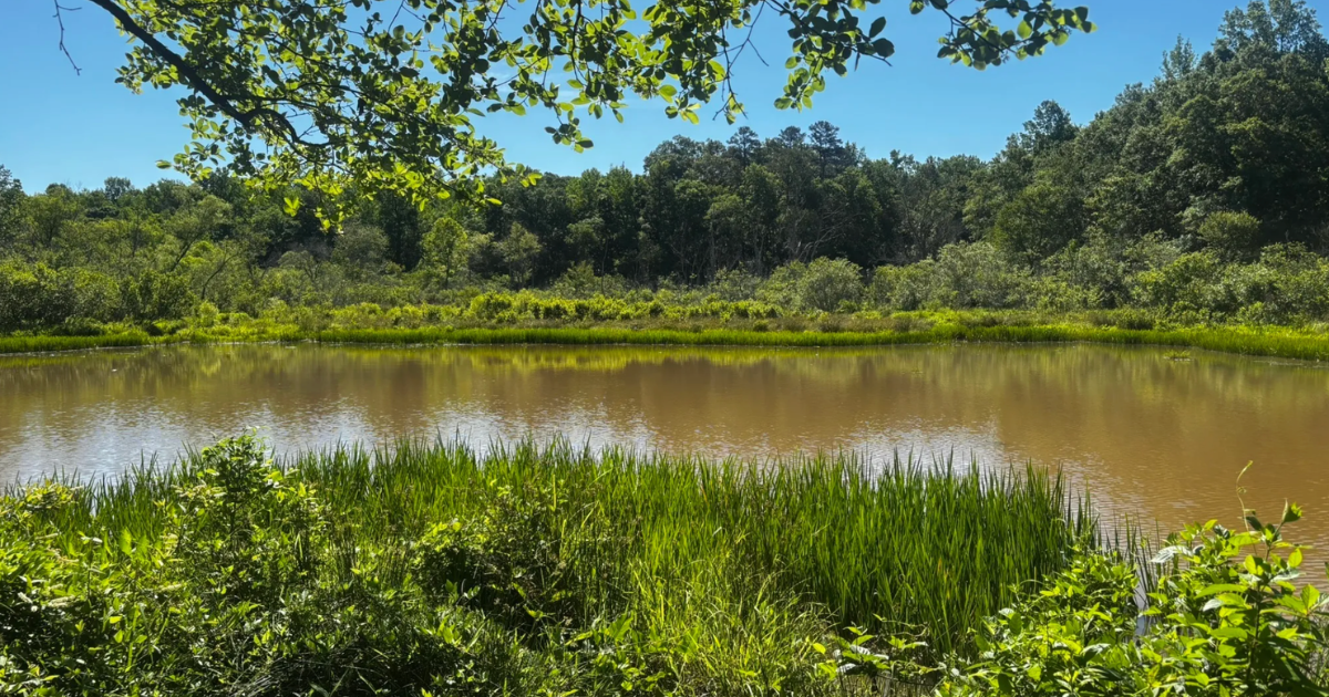 I Live in This Georgia Town and Here's Exactly How I'd Spend One Day
