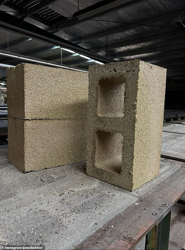 The environmental activist also revealed the team had spent more than a year experimenting with alternative building materials designed to replace traditional concrete