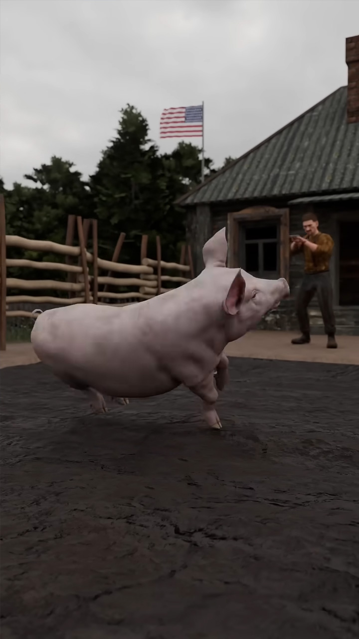 How a pig sparked a war