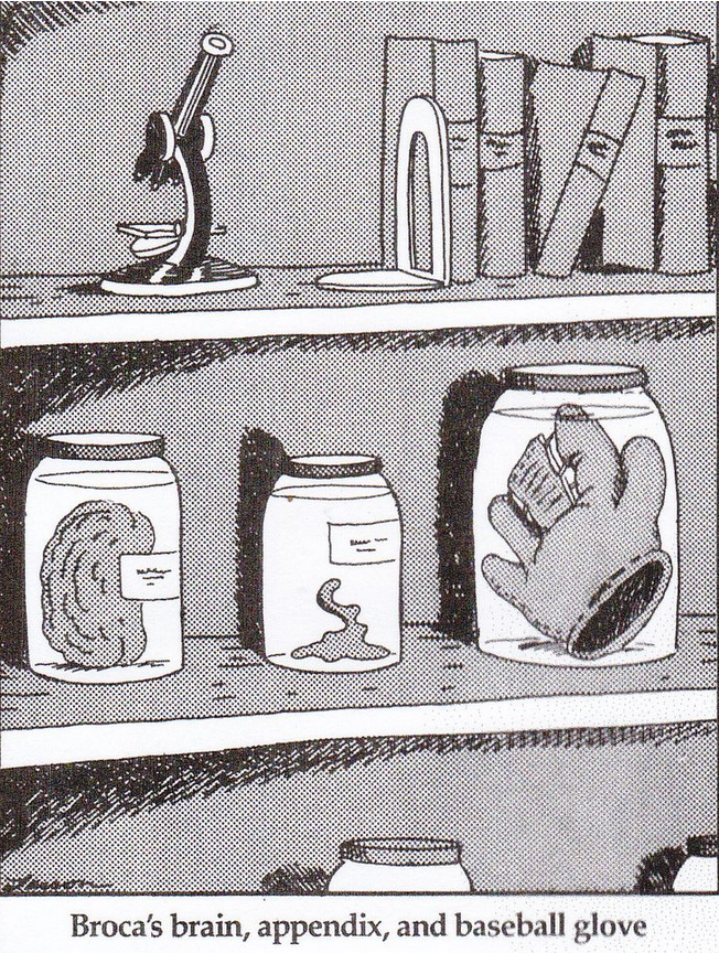 A baseball glove sits in a jar
