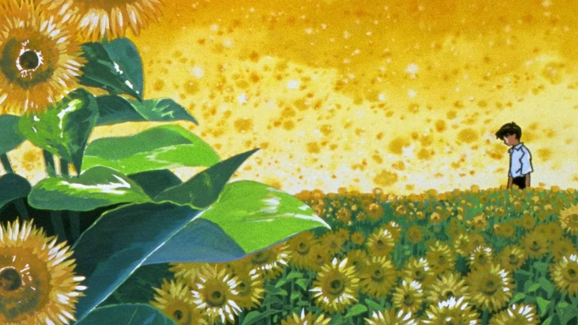 neon-genesis-evangelion-shinji-sunflower-field