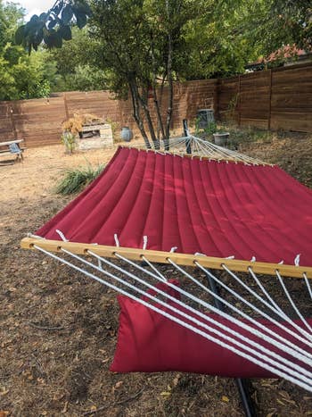 Red hammock with cushion set up in a backyard, surrounded by trees and a wooden fence. An inviting spot for relaxation or reading