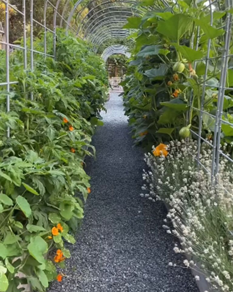 A garden path surrounded by lush plants and flowers enclosed with an arched trellis