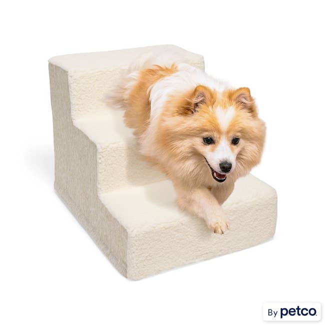 Fluffy dog descending plush pet stairs, ideal for easy access to furniture. Featured for sale by Petco
