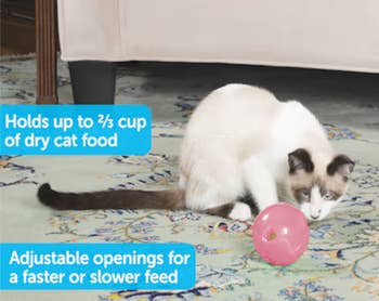 Cat interacting with a pink food-dispensing toy on the floor. Text explains it holds up to 2/3 cup of dry food and features adjustable openings