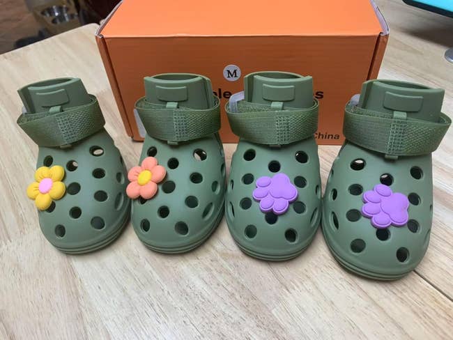 Four pairs of small green dog clogs with floral decorations in front of a shoebox on a wooden surface