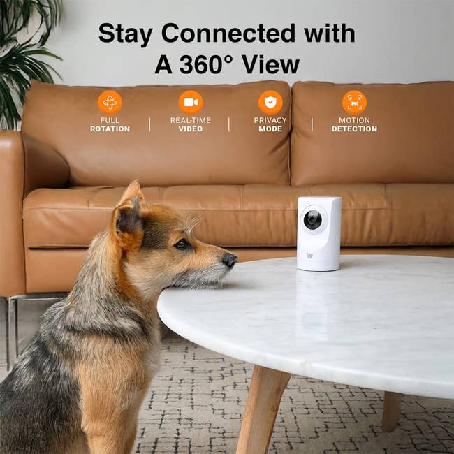 Dog rests chin on round table with a security camera. Text promotes camera features: full rotation, real-time video, privacy mode, and motion detection