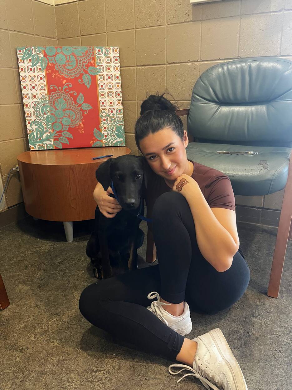 Stray Dogs Sleep On Porch Of Woman's Airbnb For 4 Days Until She Adopts Them All