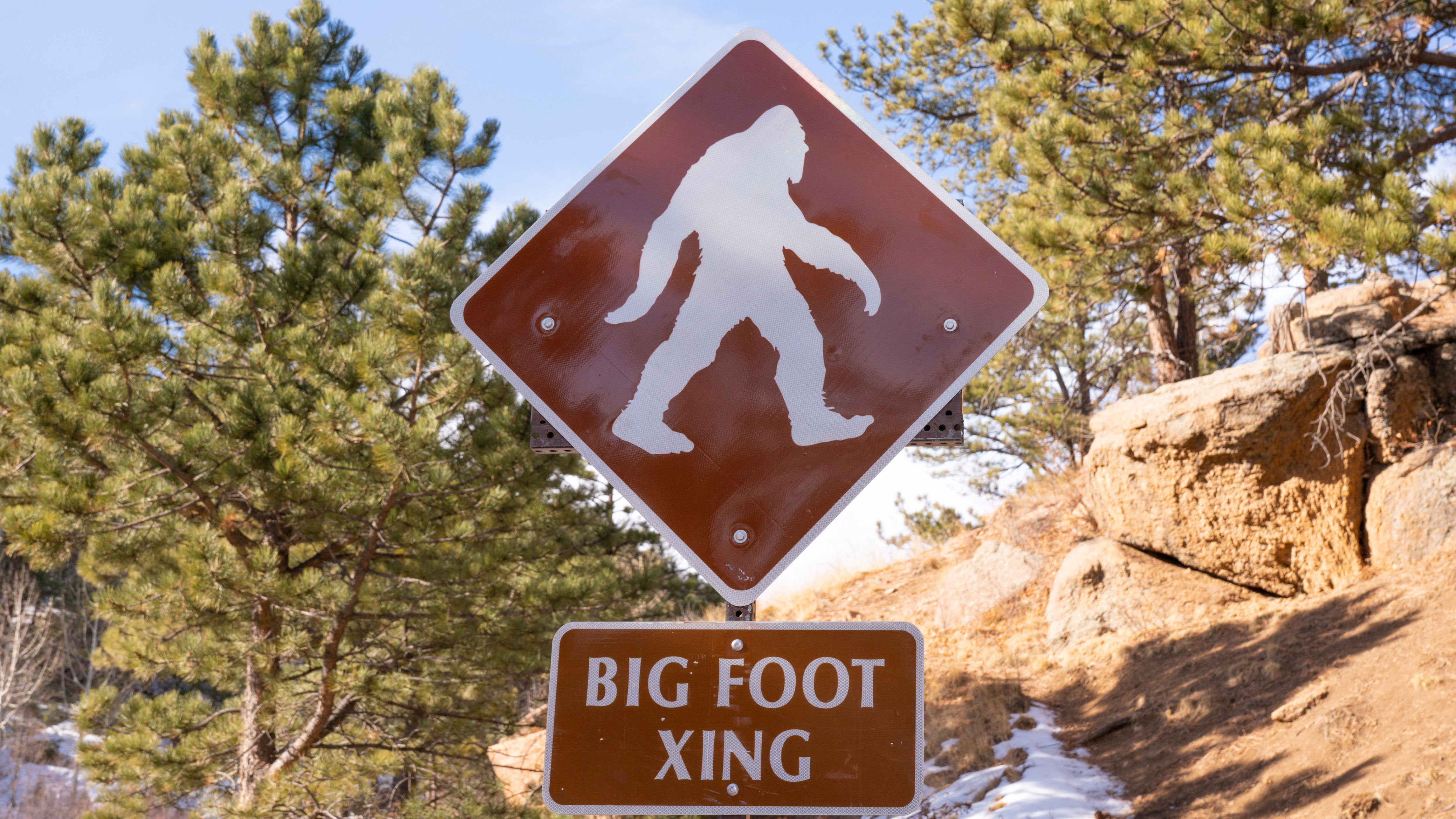 Big Foot Crossing sign in the mountainous wilderness.