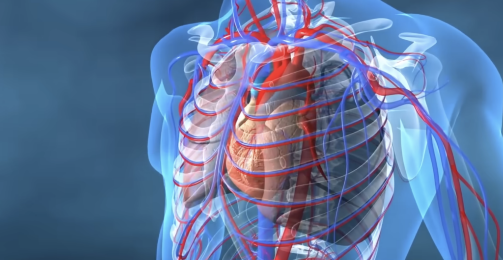 Humans Just Lost the Ability to Sleep. Here’s What Follows
