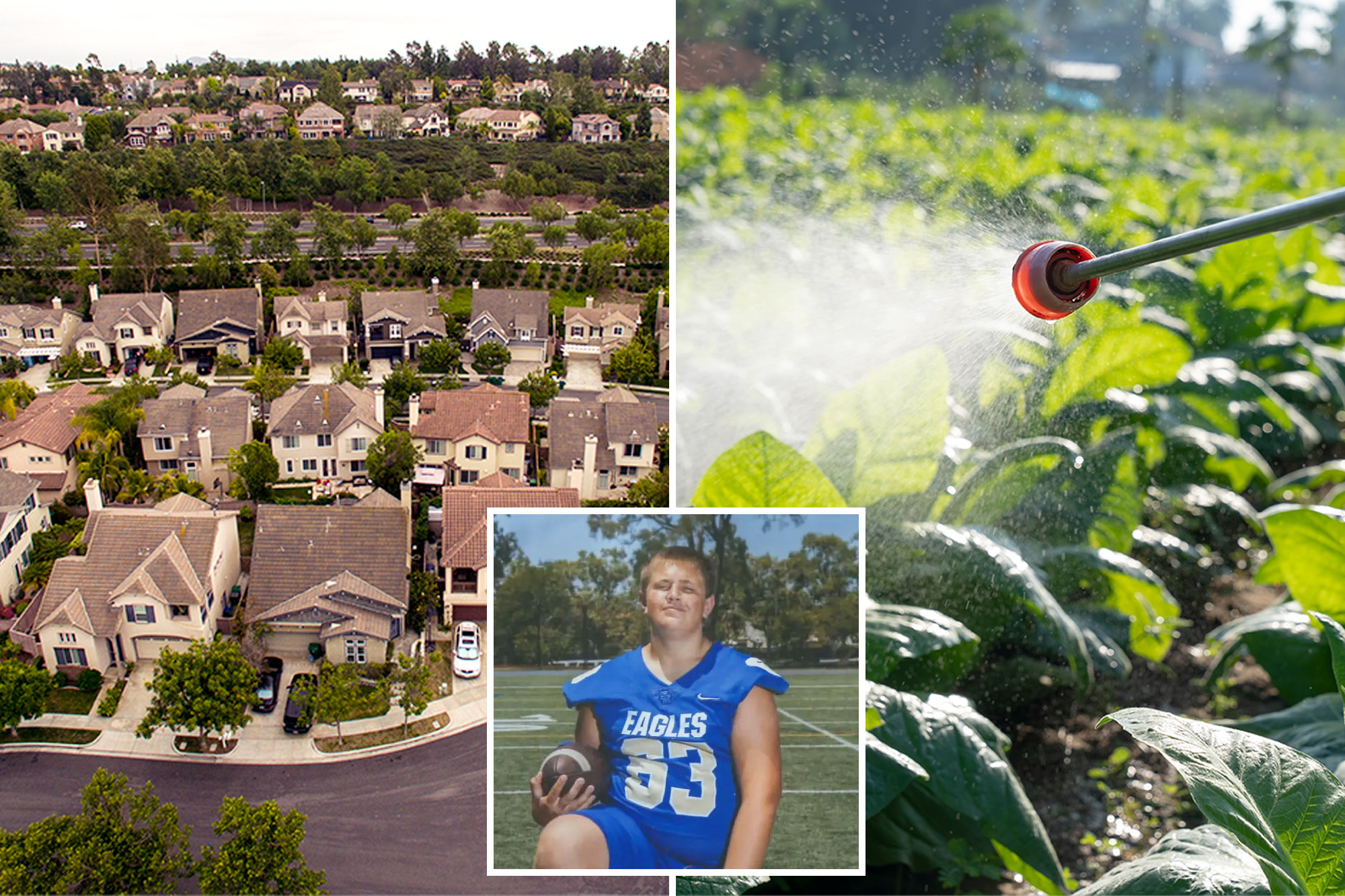 Ritzy SoCal city rocked by rare cancer outbreak suspends use of ...