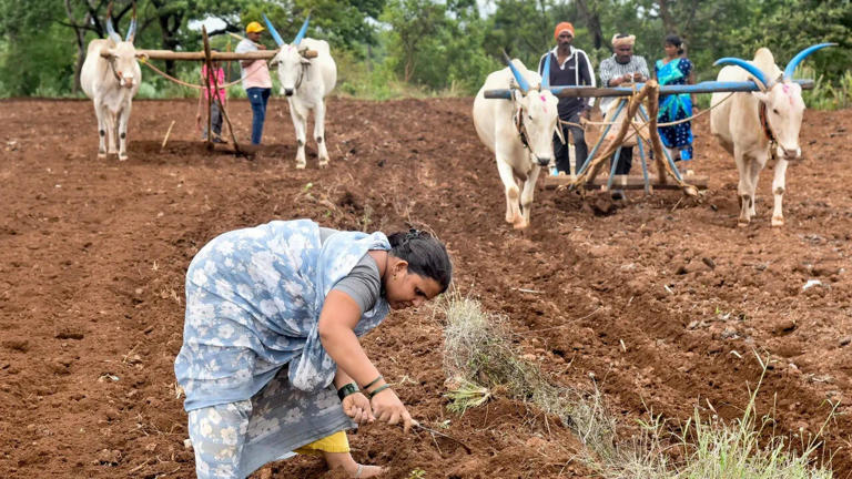 Adhik Jyeshtha, super El Niño combo may delay Maharashtra monsoon ...