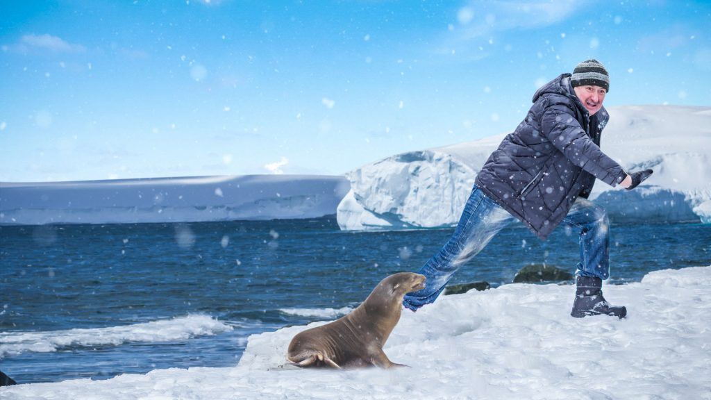 The cutest predator in Antarctica is also the deadliest