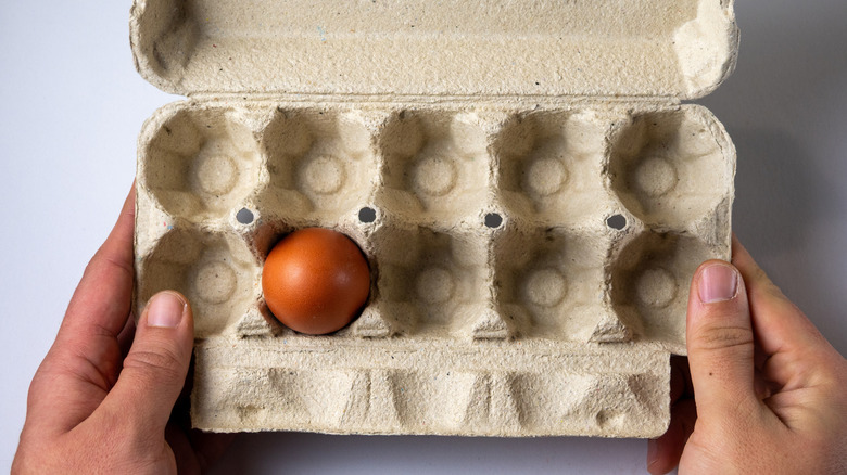 Use old egg cartons and cement to create a budget-friendly planter that looks high end