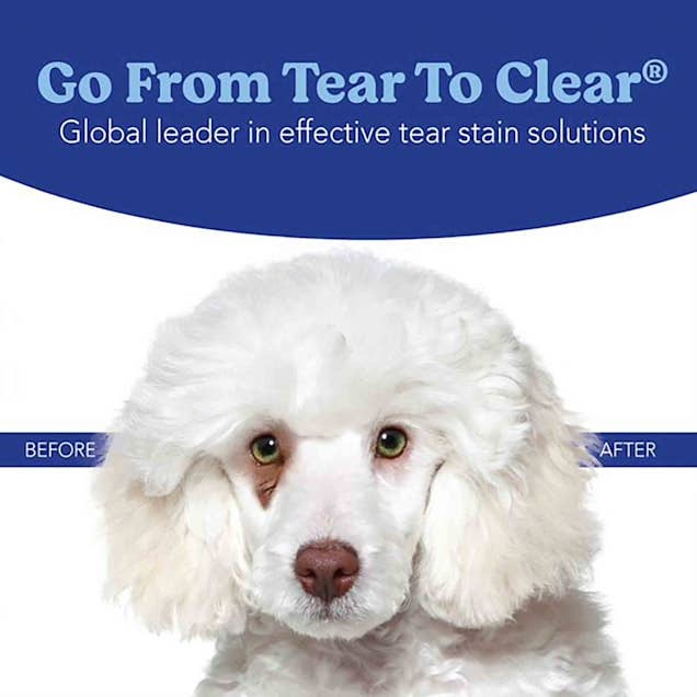 Image of a fluffy white dog with tear stains on the left labeled