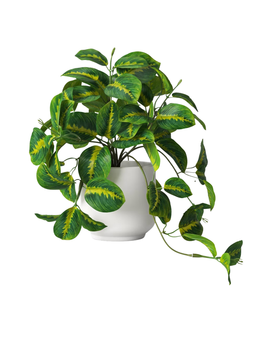 Trailing Prayer Artificial Plant - Room Essentials™