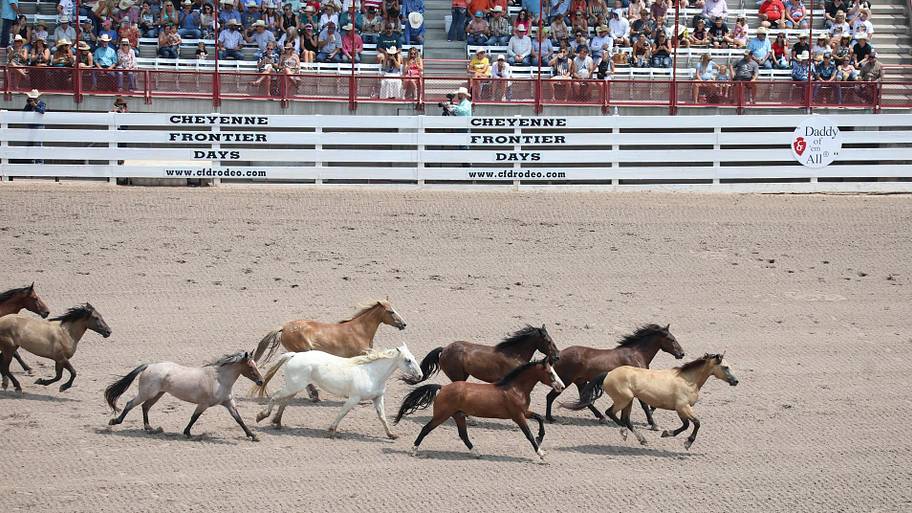 New Format, Big Payouts Highlight 2026 Cheyenne Frontier Days
