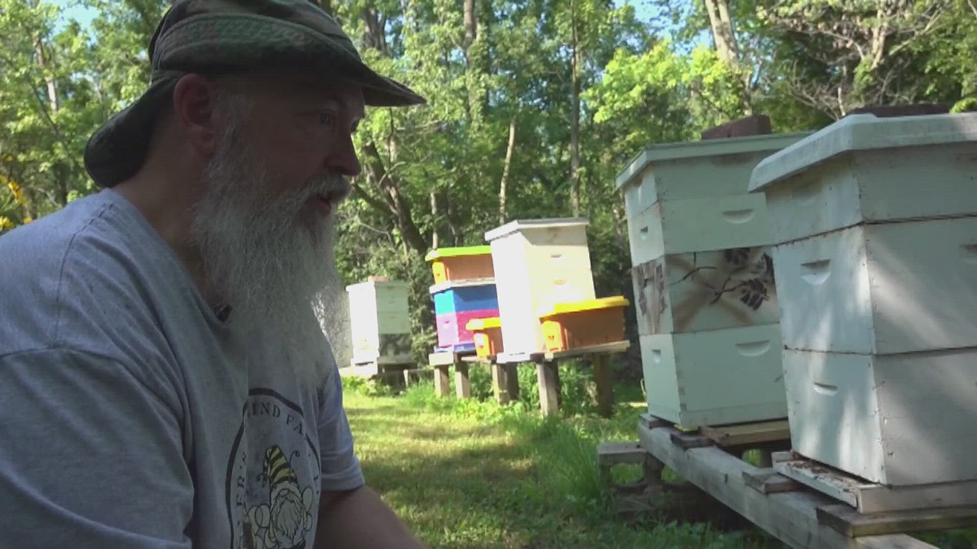 Former Army combat medic finds healing in beekeeping, farming
