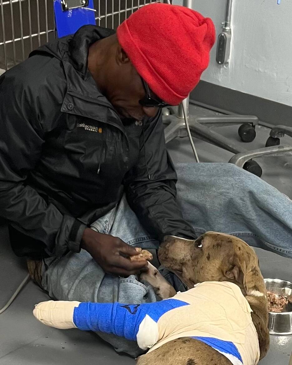 Devoted Dog Dad Sleeps Outside Vet Clinic To Get Help For His Injured Pup