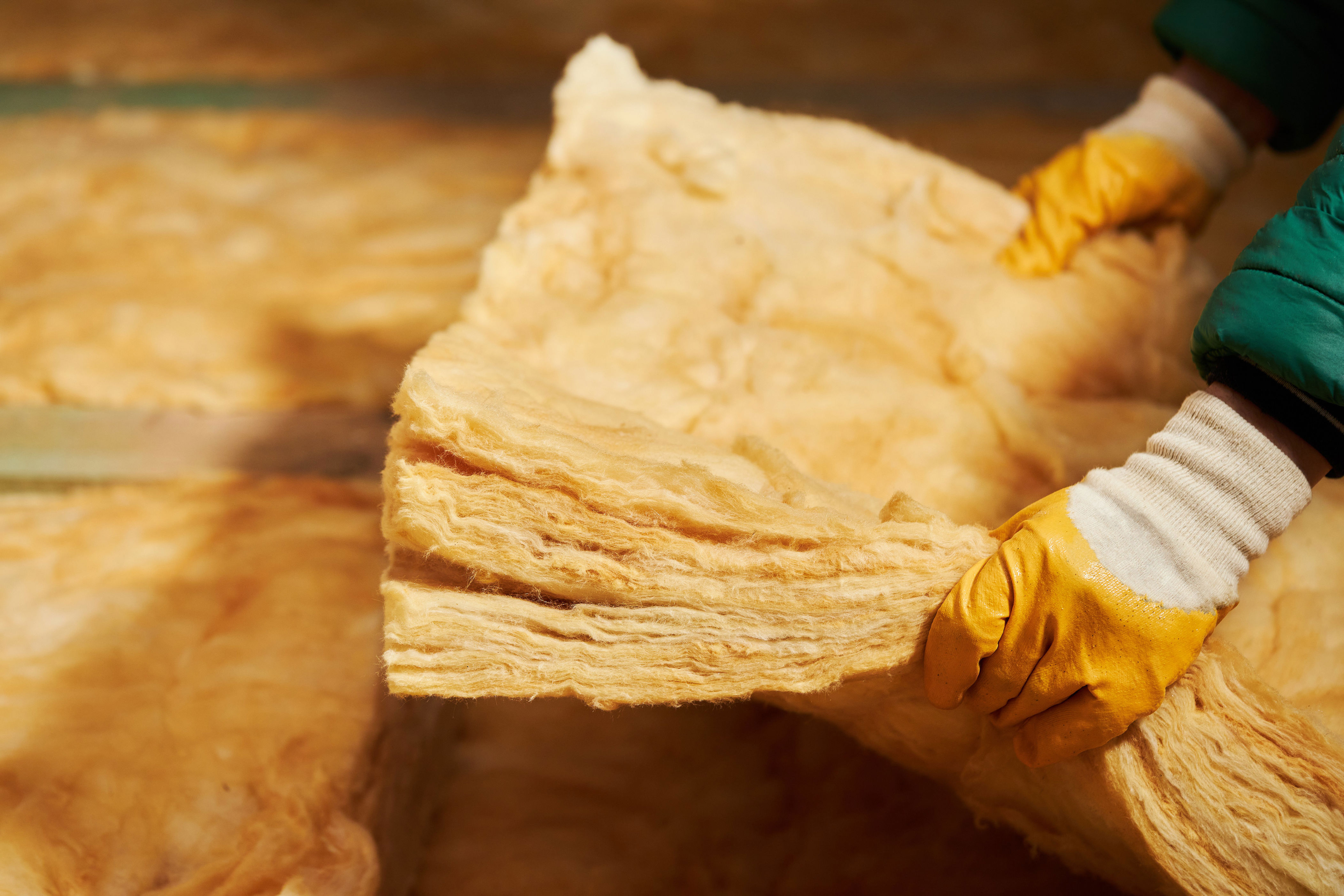 Photo: Liudmila via Adobe Stock