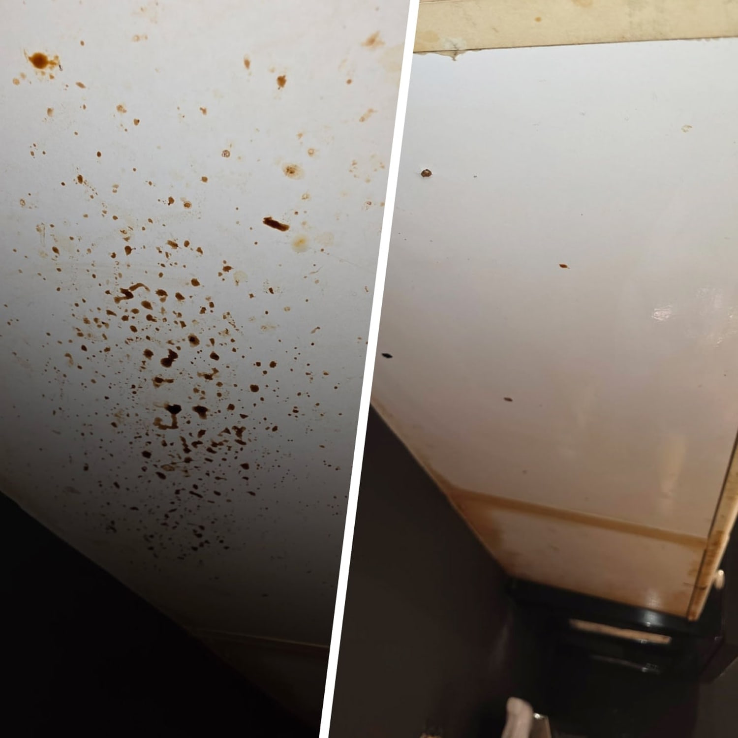 The Lysol degreaser easily tackled the caked no grease under this cabinet. (Courtesy Chrissy Callahan)