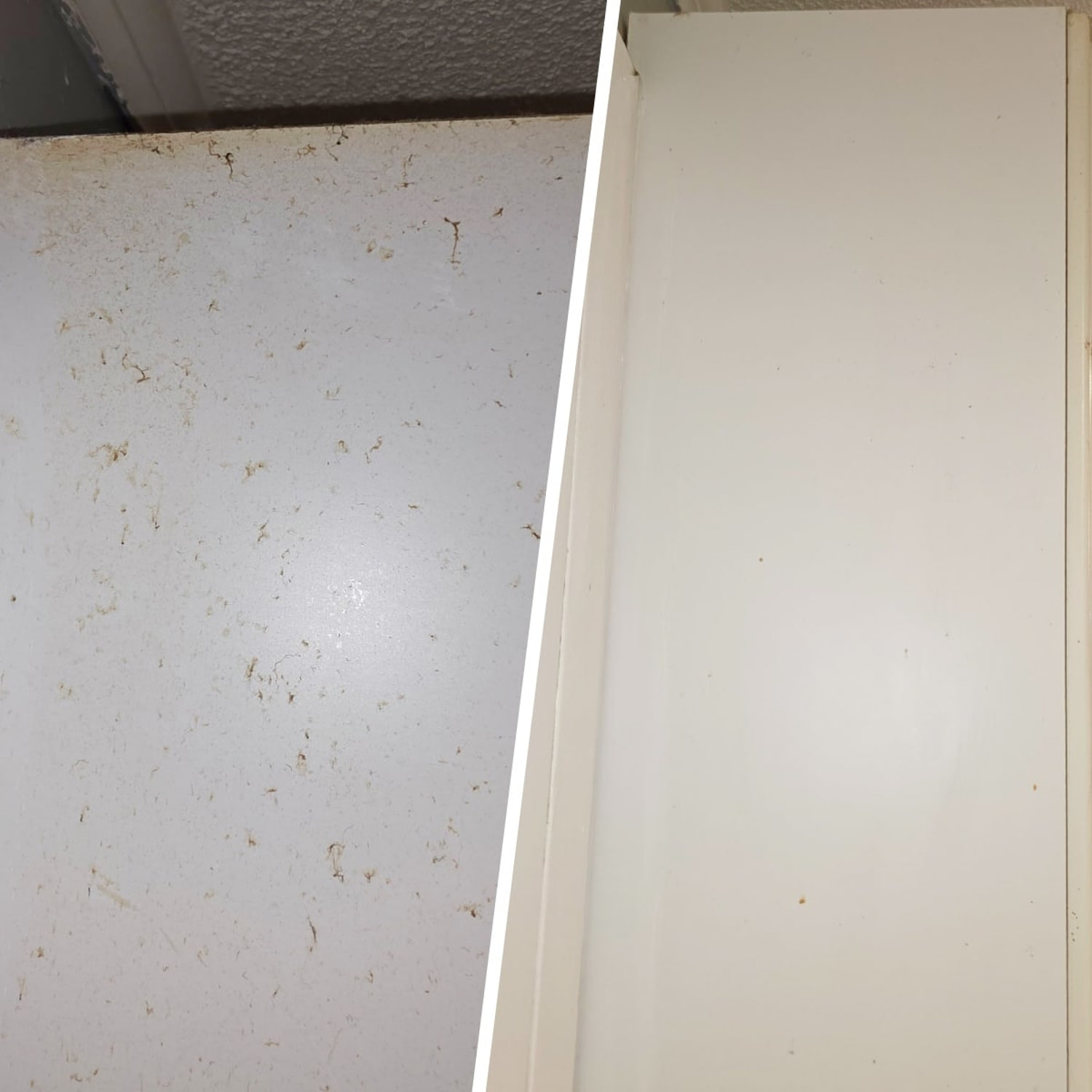 The Krud Kutter degreaser had the side of the cabinets looking like new. (Courtesy Chrissy Callahan)