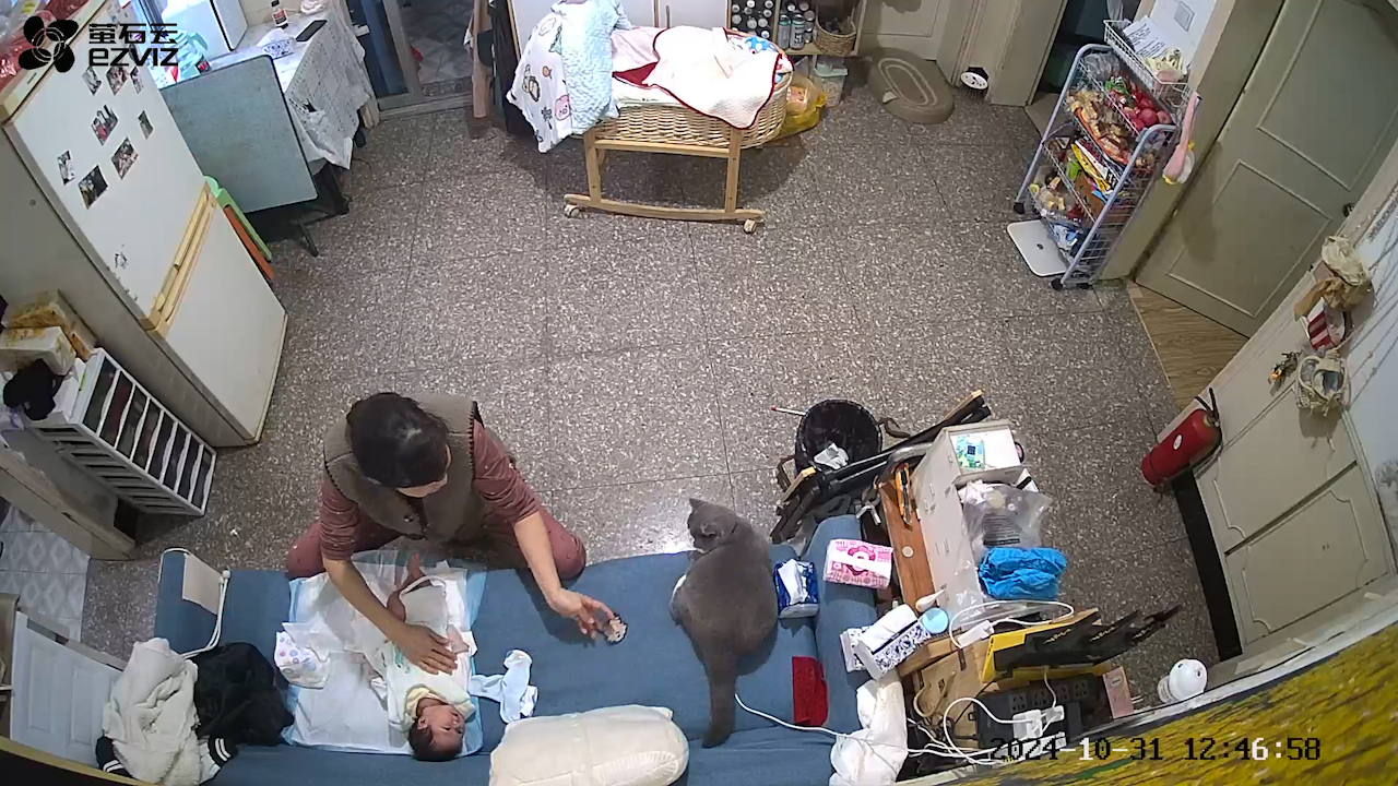 Cat brings brooch to grandmother while calming crying baby