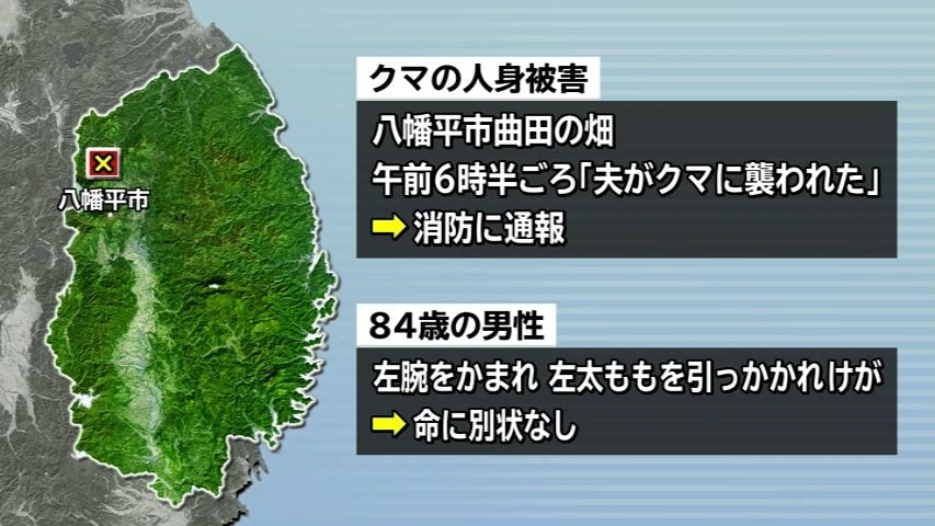 農作業をしていた80代の男性がクマに襲われけが 左腕を噛まれ、左太ももを引っかかれる 岩手・八幡平市